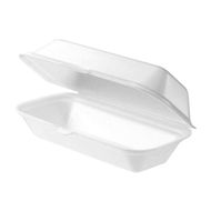 The-polystyrene-fast-food-trays-hotdog
