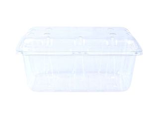 a-clear-pet-container-produce-187x115x87mm