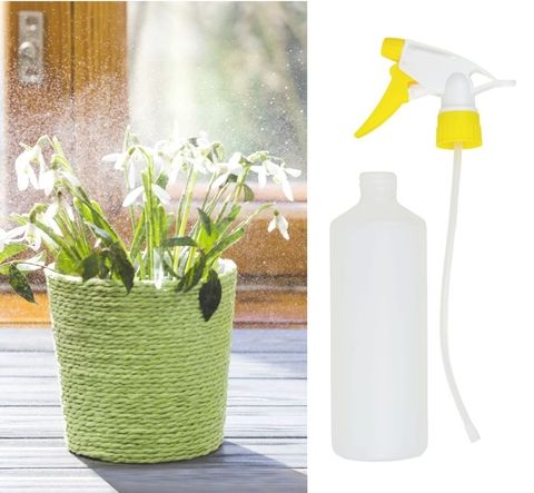 Trigger-spray-bottle-500ml-and-plant