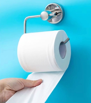 A-toilet-paper-roll-on-holder A-toilet-paper-roll-on-holder